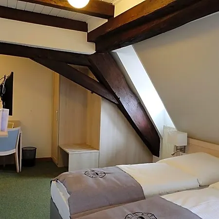 Altes Rathaus Hotel-restaurant-cafe 3*