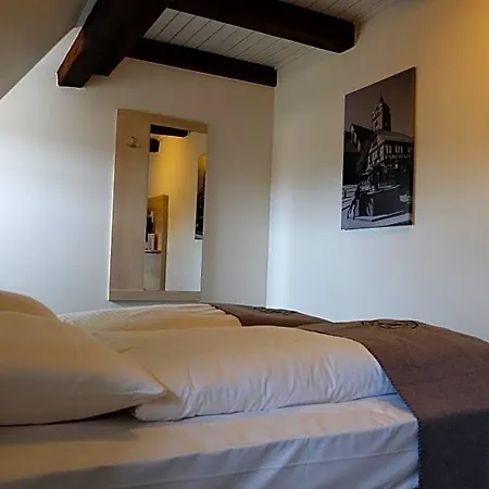 Hotel Altes Rathaus Hotel-restaurant-cafe 3*