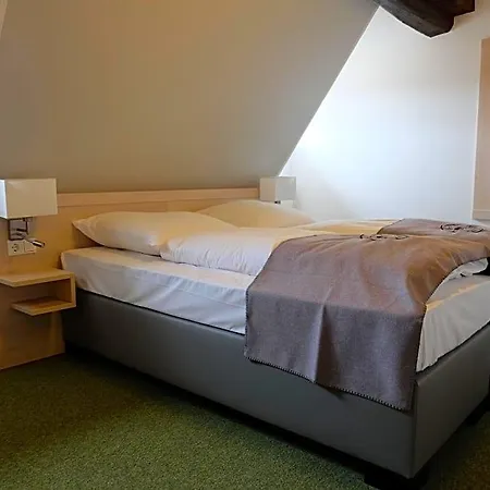Altes Rathaus Hotel-restaurant-cafe Hotel 3*