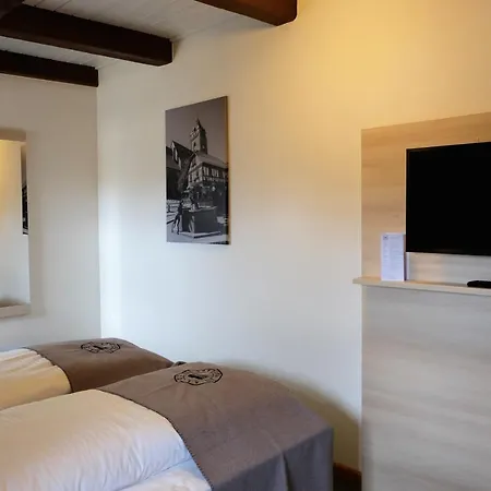 Altes Rathaus Hotel-restaurant-cafe מלון 3*