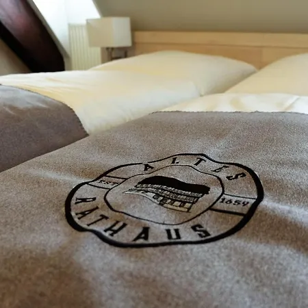 Altes Rathaus Hotel-restaurant-cafe 3*