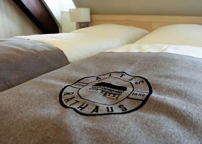 Altes Rathaus Hotel-restaurant-cafe 3*