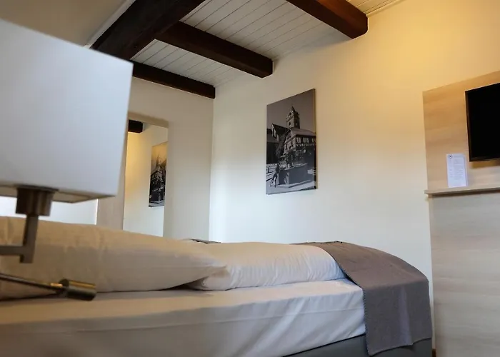 Altes Rathaus Hotel-restaurant-cafe